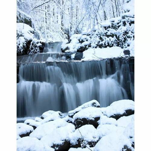 سعید دانش اگه مال منی دستمو بگیر